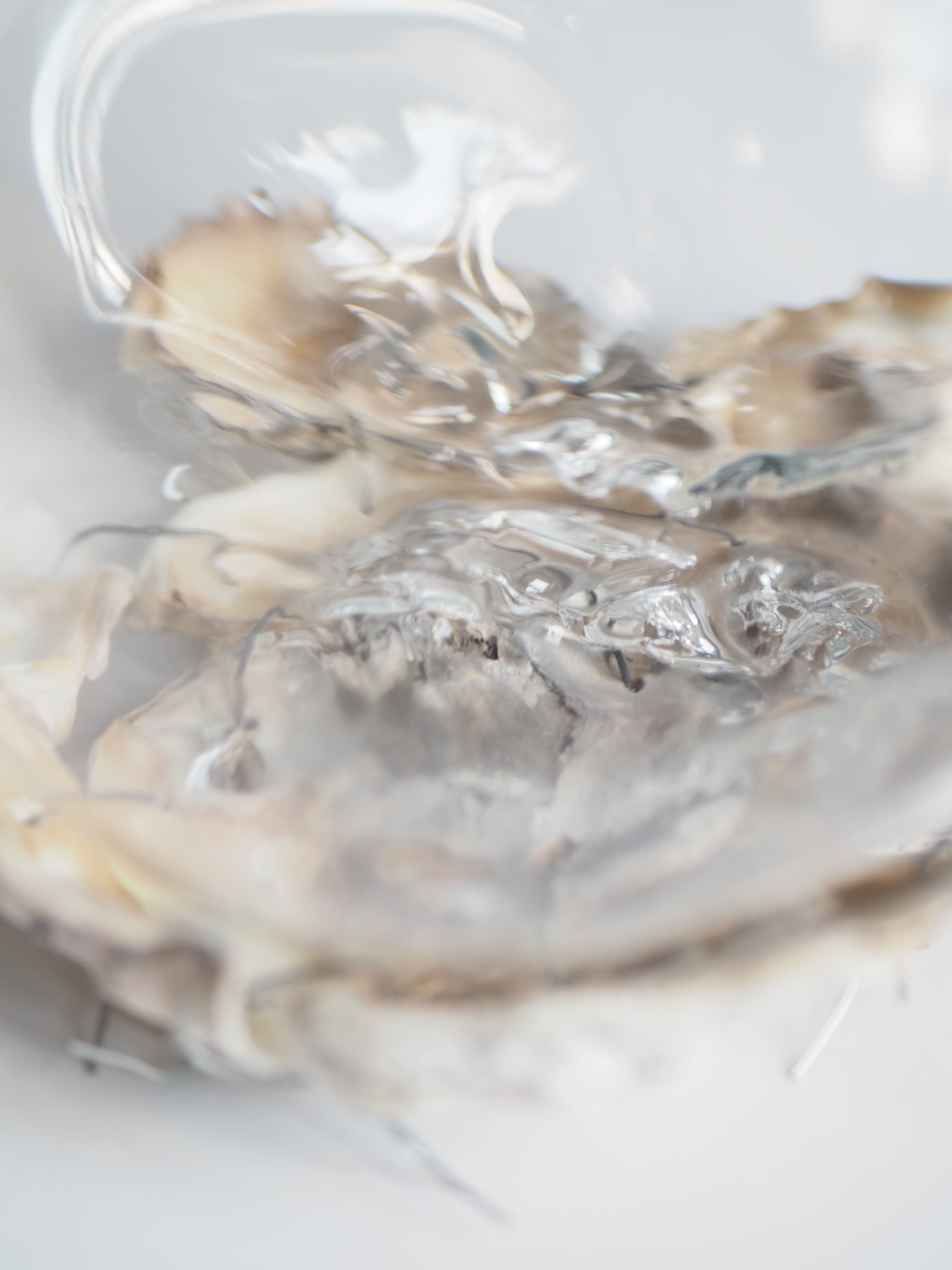 VENUS’S DAYDREAMING - obrázek 4