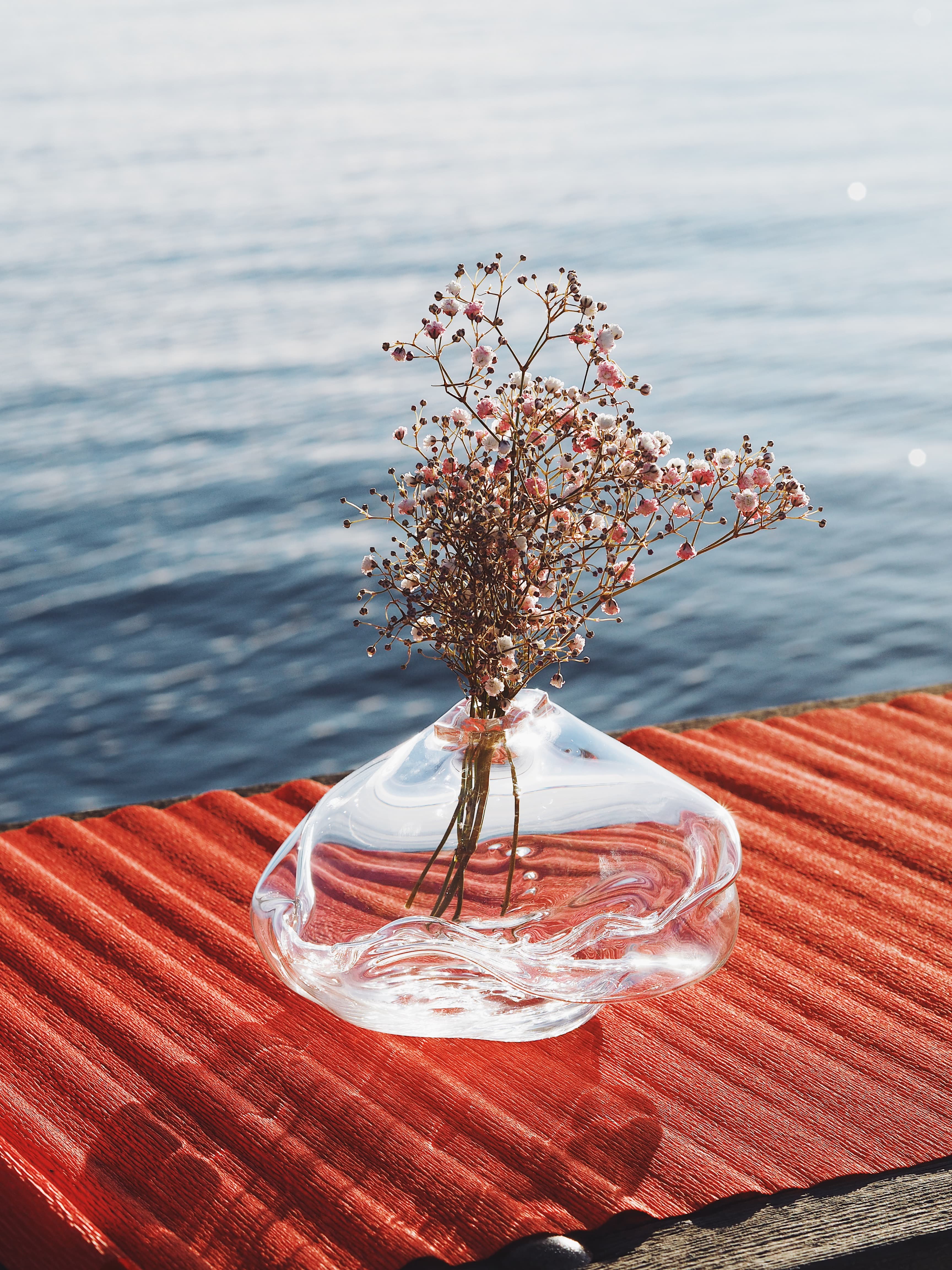 VENUS’S DAYDREAMING - obrázek 8