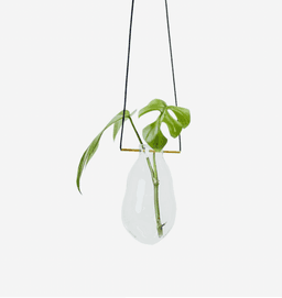 2024 Czech Social Awards – Nomination for Best Startup